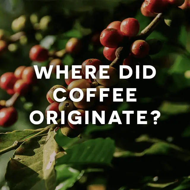 Where Did Coffee Originate? Its History And Discovery