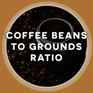 coffee beans to grounds ratio